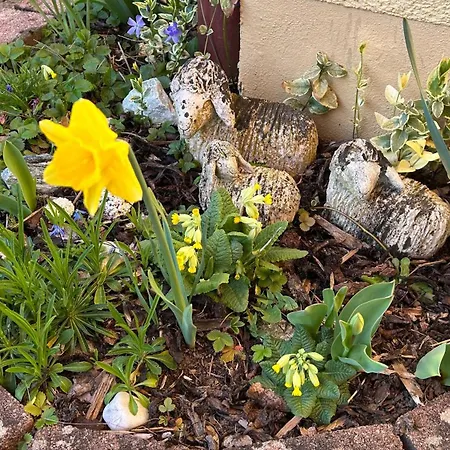 Panoramablick Bad Sobernheim